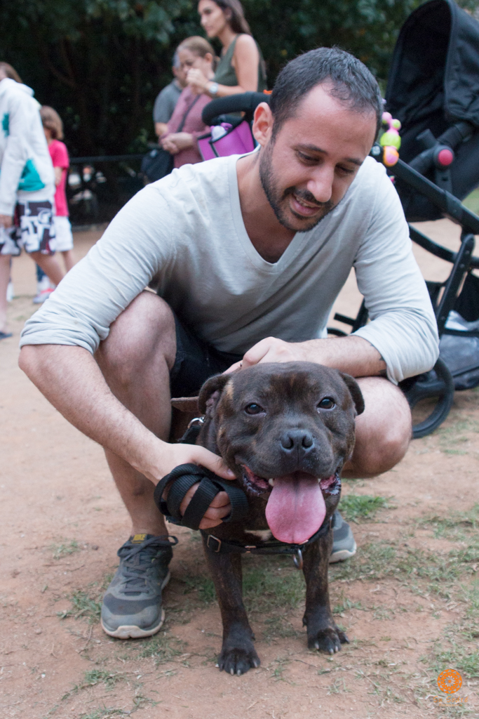 16° Encontro da Raça Starfordshire Bull Terrier,Su Sodré Fotografia