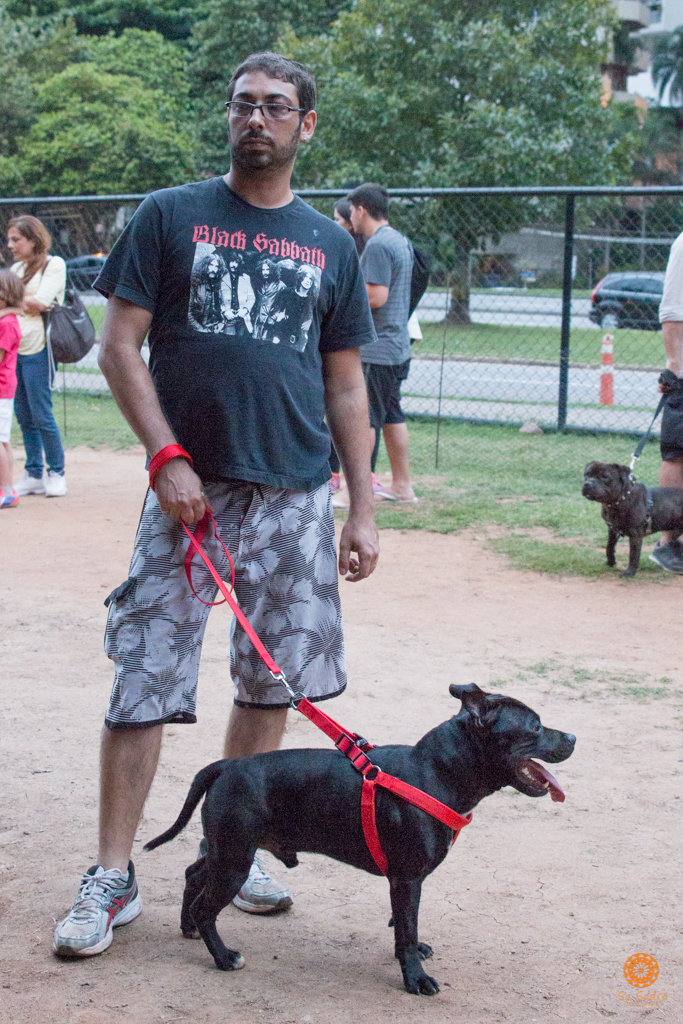 16° Encontro da Raça Starfordshire Bull Terrier,Su Sodré Fotografia