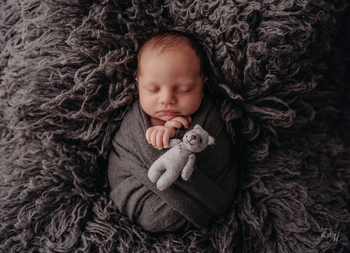 ensaio primeiros dias