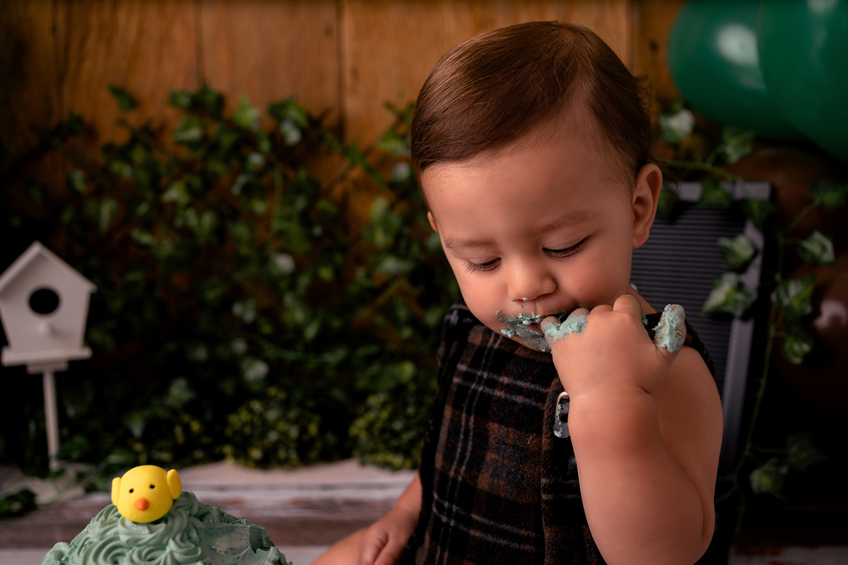 Acompanhamento mensal 12 meses