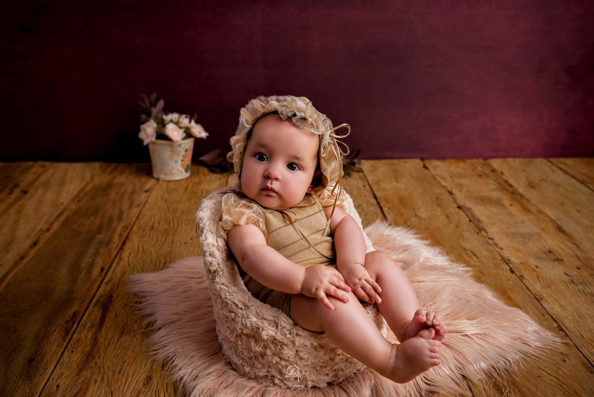 Acompanhamento mensal