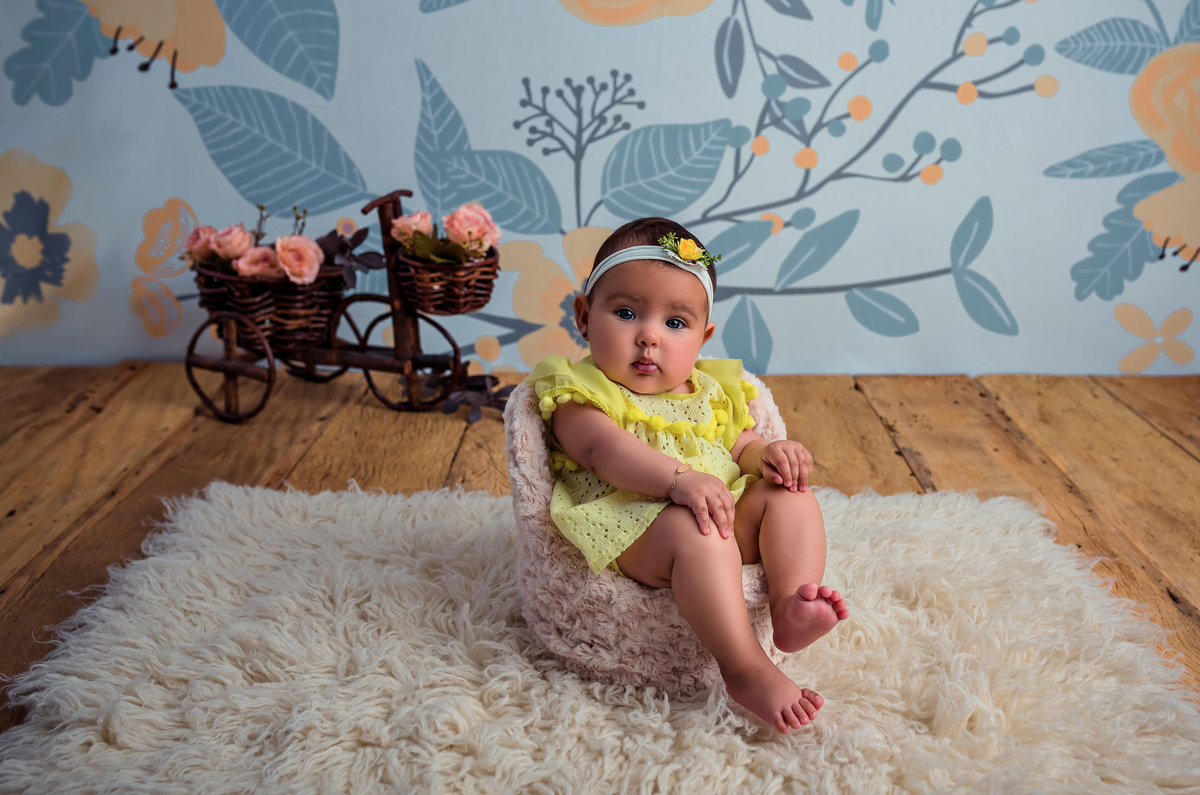 Acompanhamento mensal São Marcos RS