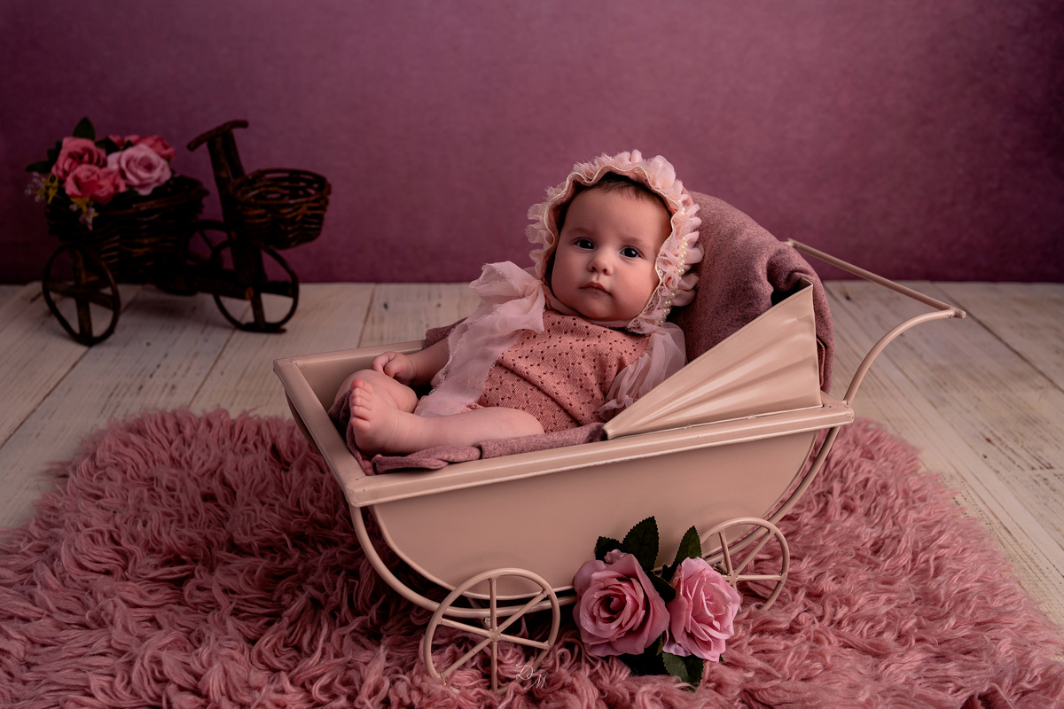 Acompanhamento do Bebê