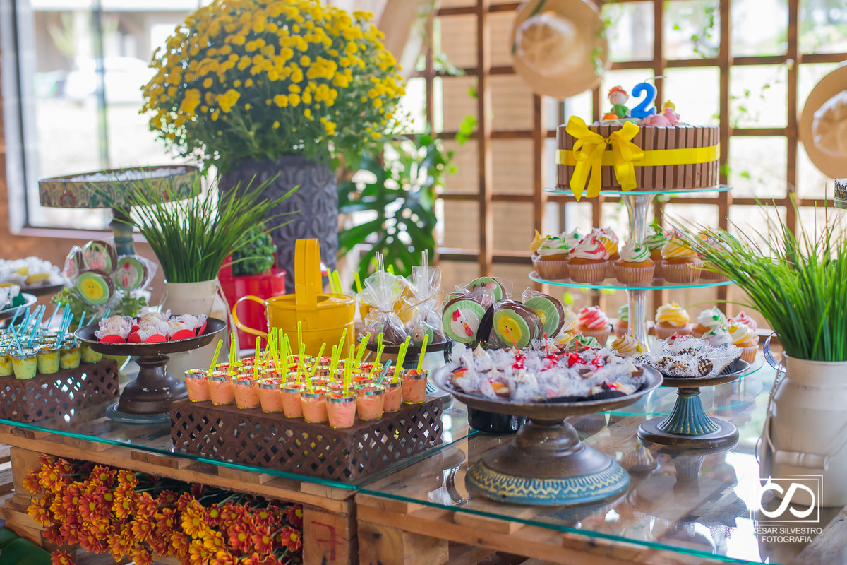 aniversário infantil em bento gonçalves - rs nos caminhos de pedra  em casa fracalossi, aniversario de 2 anos na serra gaucha em garibaldi, carlos barbosa farroupilha  festa infantil