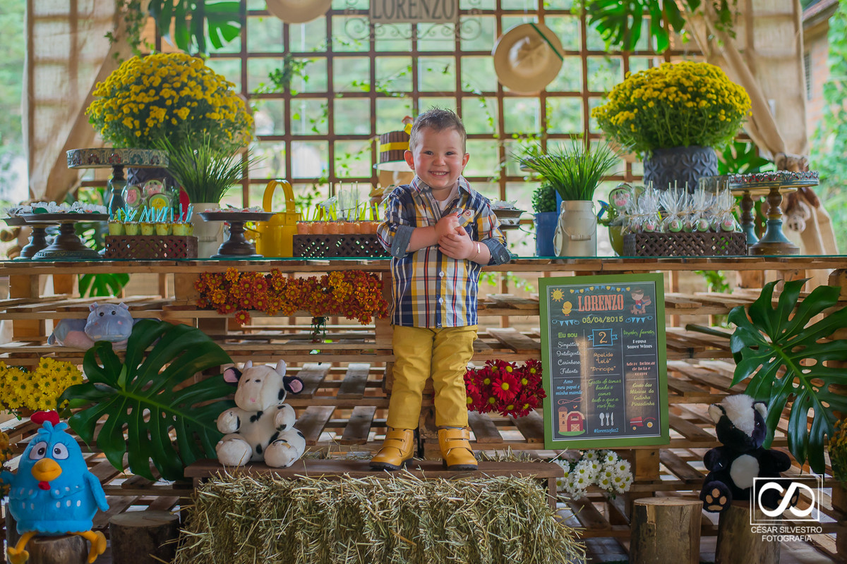 aniversário infantil em bento gonçalves - rs nos caminhos de pedra  em casa fracalossi, aniversario de 2 anos na serra gaucha em garibaldi, carlos barbosa farroupilha  festa infantil