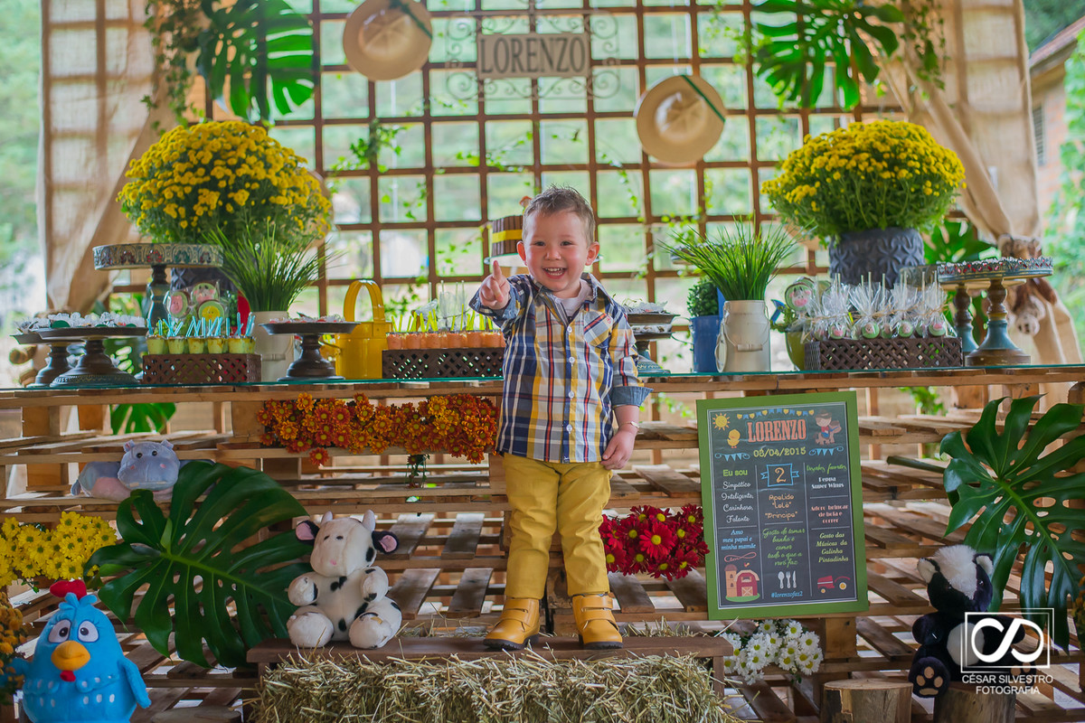 aniversário infantil em bento gonçalves - rs nos caminhos de pedra  em casa fracalossi, aniversario de 2 anos na serra gaucha em garibaldi, carlos barbosa farroupilha  festa infantil
