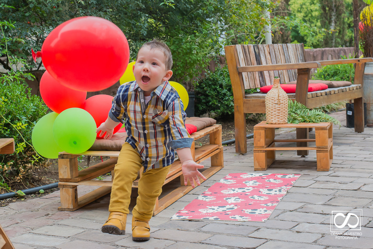aniversário infantil em bento gonçalves - rs nos caminhos de pedra  em casa fracalossi, aniversario de 2 anos na serra gaucha em garibaldi, carlos barbosa farroupilha  festa infantil