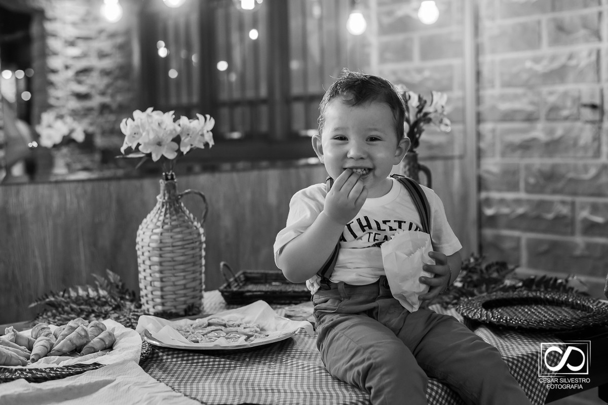 aniversário infantil em bento gonçalves - rs nos caminhos de pedra  em casa fracalossi, aniversario de 2 anos na serra gaucha em garibaldi, carlos barbosa farroupilha  festa infantil