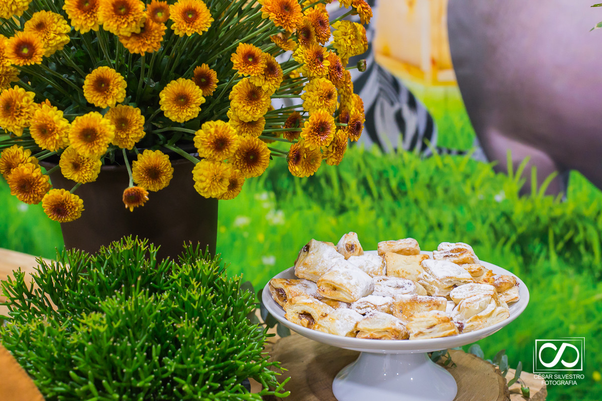 família festa infantil em Bento Gonçalves RS crianças de 6 anos brincam na Serra Gaúcha em  Bento Gonçalves fotógrafo de Bento Gonçalves na serra gaucha