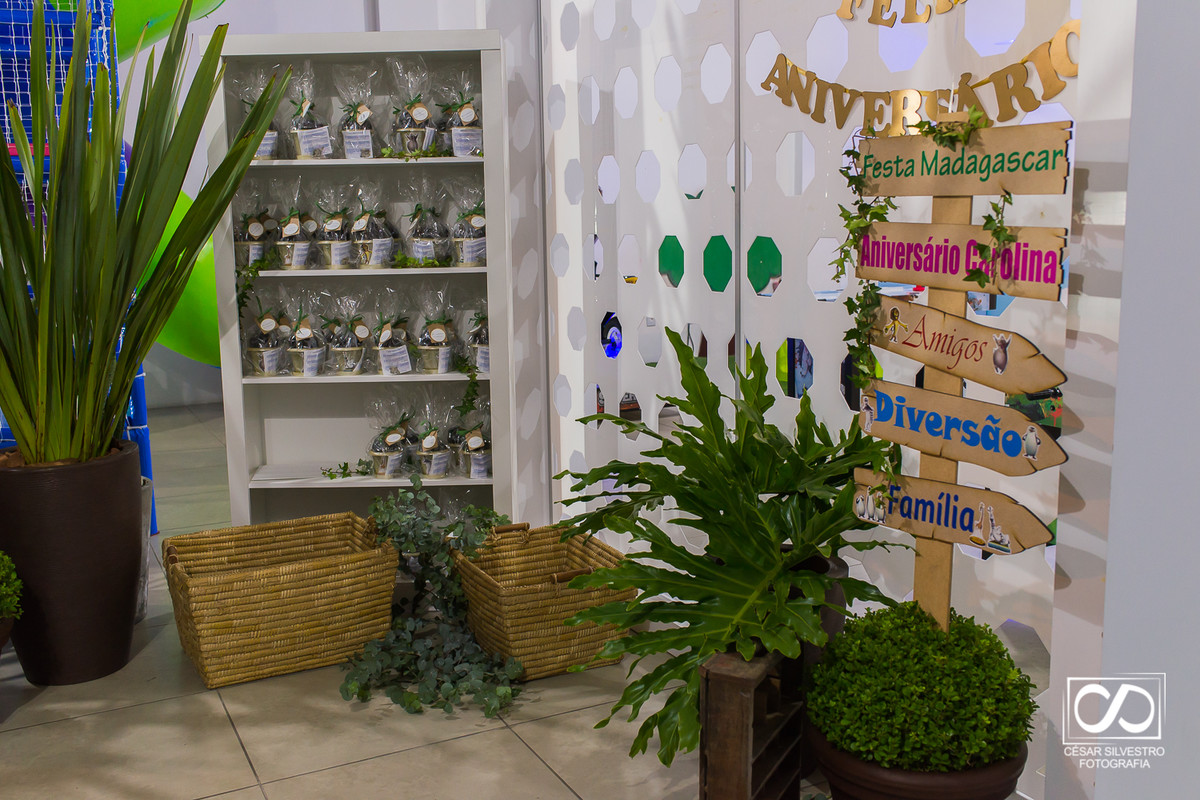 família festa infantil em Bento Gonçalves RS crianças de 6 anos brincam na Serra Gaúcha em  Bento Gonçalves fotógrafo de Bento Gonçalves na serra gaucha