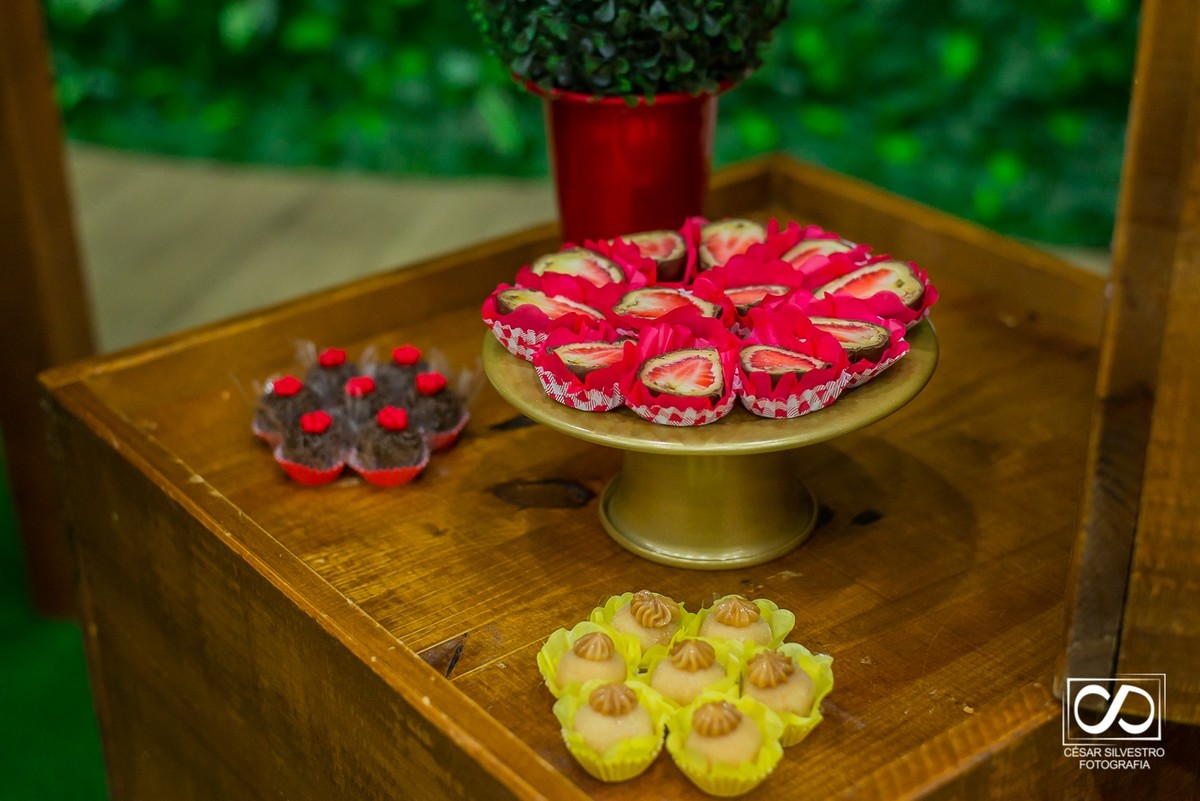 serra gaúcha fotografia de eventos em Bento Gonçalves aniversário infantil Bento Gonçalves RS Garibaldi Farroupilha Carlos Barbosa Caxias do Sul