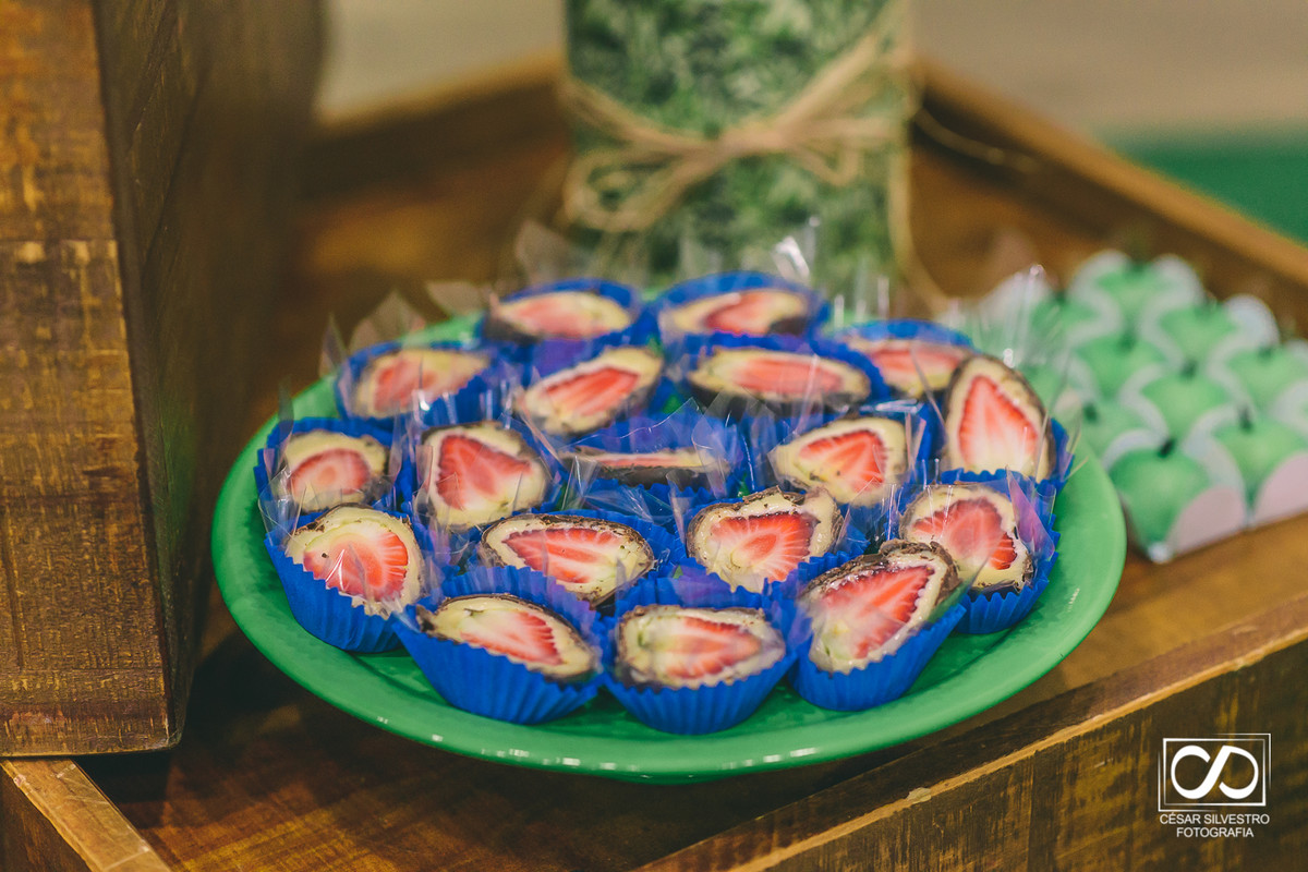 aniversario bento goncalves fotografo bento gonçalves garibaldi farroupilha carlos barbosa família serra gaucha César Silvestro