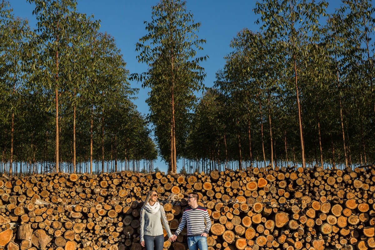 fotografo de casamento em Bento Gonçalves faz ensaio de Aline e Roger na serra gaucha, ensaio antes do casamento perfeito