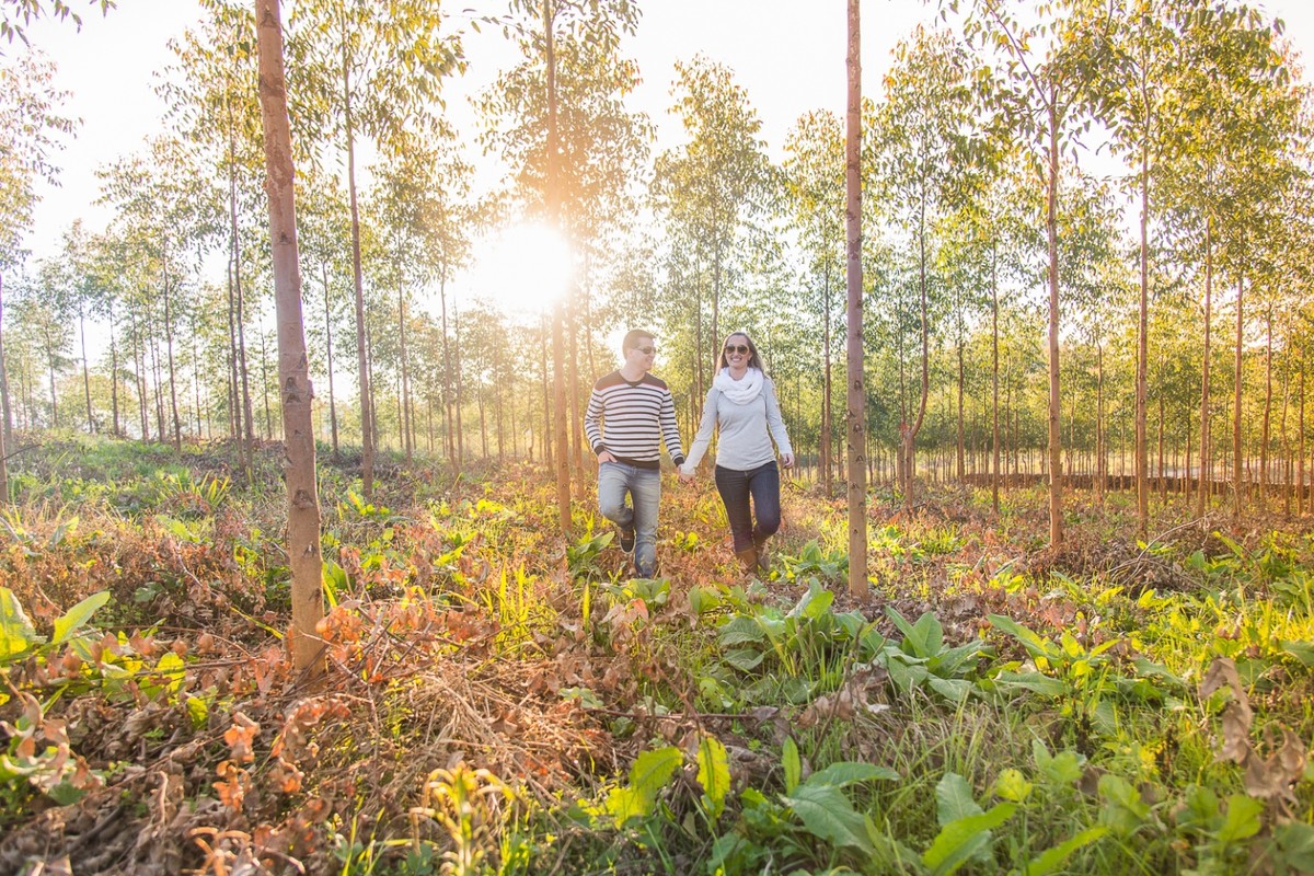 fotografo de casamento em Bento Gonçalves faz ensaio de Aline e Roger na serra gaucha, ensaio antes do casamento perfeito