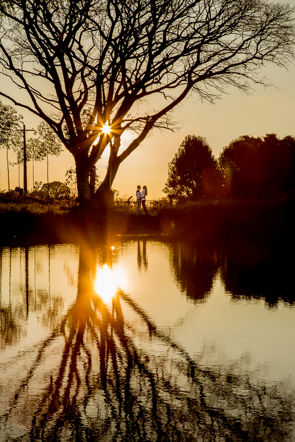 fotografo de casamento em Bento Gonçalves faz ensaio de Aline e Roger na serra gaucha, ensaio antes do casamento perfeito