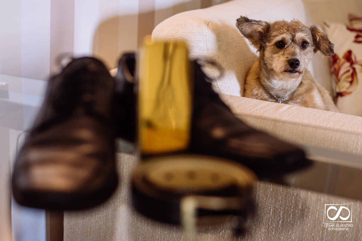 fotografo casamento bento gonçalves carlos barbosa garibaldi veranopolis caxias do sul farroupilha serra gaucha fotografia de casamento na serra com emoção cachorro  wedding day em bento gonçalves tuiuty