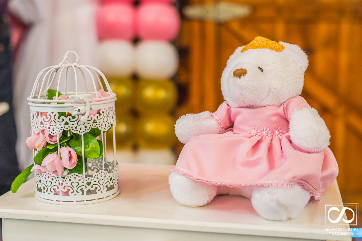 fotografo em Bento Gonçalves - RS, fotografo de pessoas e momento felizes na serra gaucha, festa infantil, decoração linda