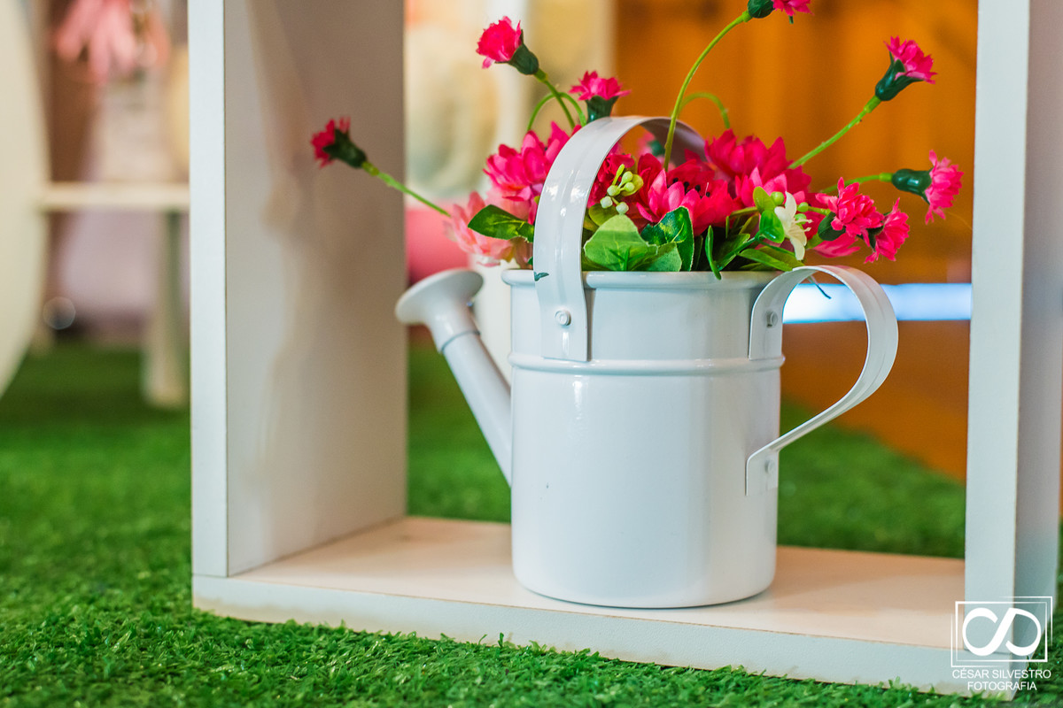 fotografo em Bento Gonçalves - RS, fotografo de pessoas e momento felizes na serra gaucha, festa infantil, decoração linda