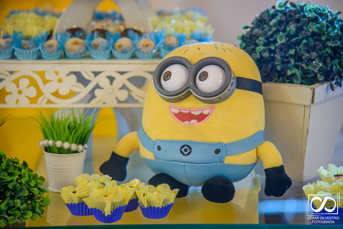 aniversario infantil, fotografo bento gonçalves- rs, fotografo serra gaucha, fotografo césar silvestro, um ano, 1 ano