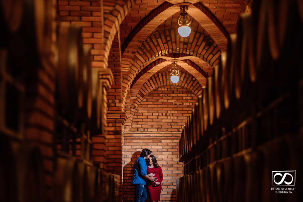 ensaio de gestante em bento goncalves serra gaucha garibaldi carlos barbosa farroupilha caxias do sul na vinicola salton mae de menino fotos lindas de gestante na serra gaucha 