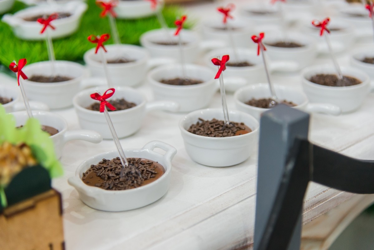 fotografo bento gonçalves. fotografo aniversario infantil, fotografo na serra gaucha, garibaldi. carlos barbosa, farrouplila, caxias do sul, veranopolis, felicidade, decoração