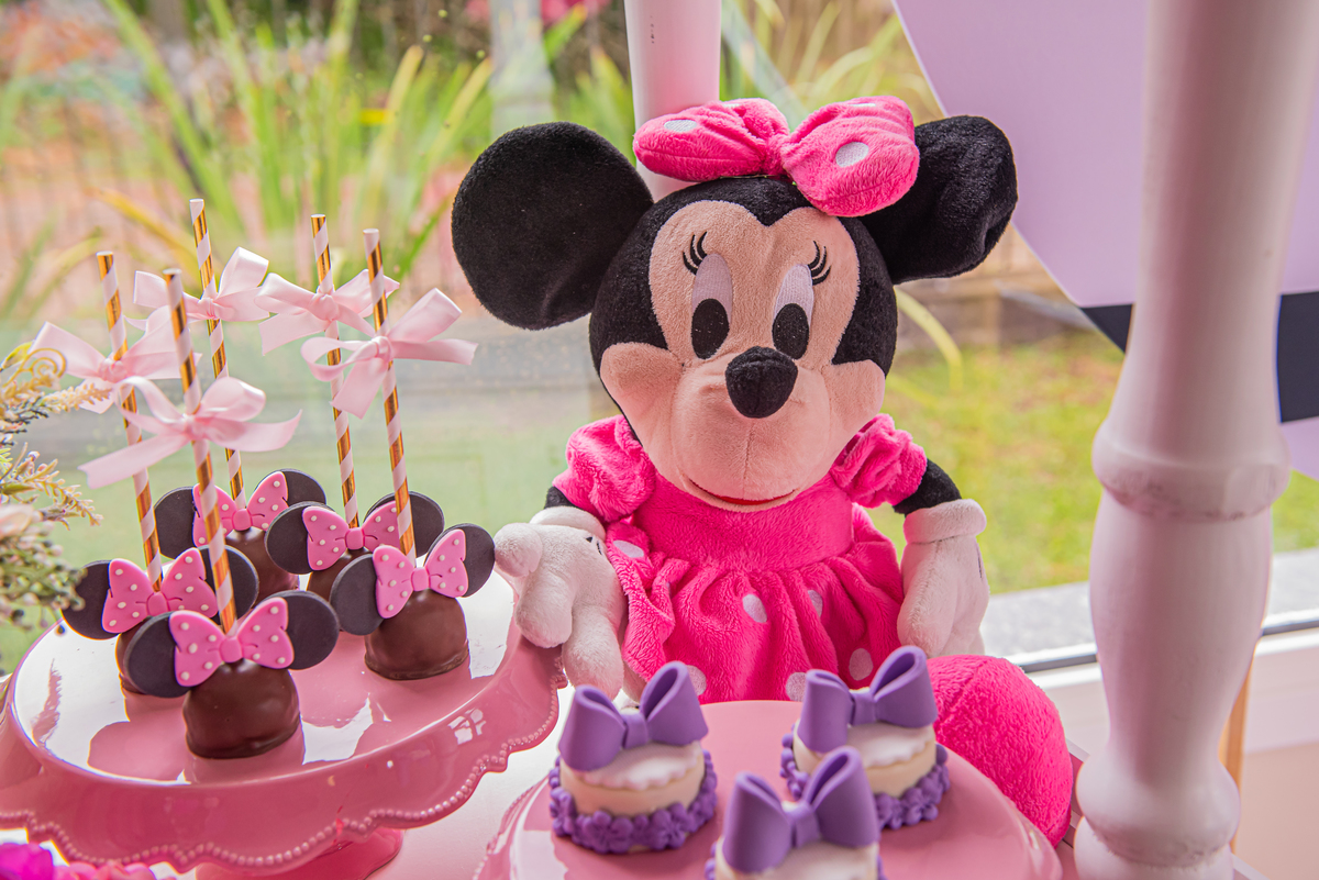 fotografo de casamento fotografo de casamento bento goncalves fotografo serra gaucha fotografia infantil em casa aniversario de 3 anos 