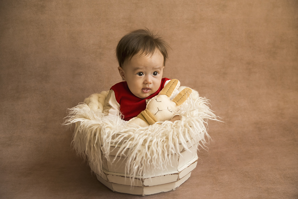ensaio fotografico menino bebe infantil  book fotografia acompanhamento trimestral cestinha bicho de pelúcia close retrato rio de janeiro niteroi são Gonçalo