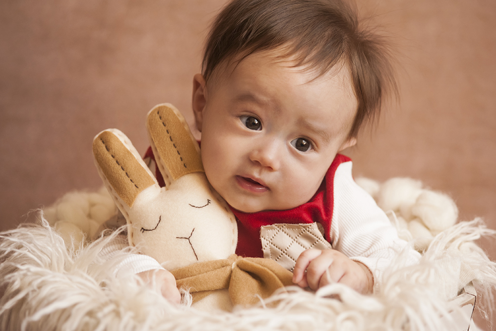 ensaio fotografico menino bebe infantil  book fotografia acompanhamento trimestral cestinha bicho de pelúcia close retrato rio de janeiro niteroi são Gonçalo