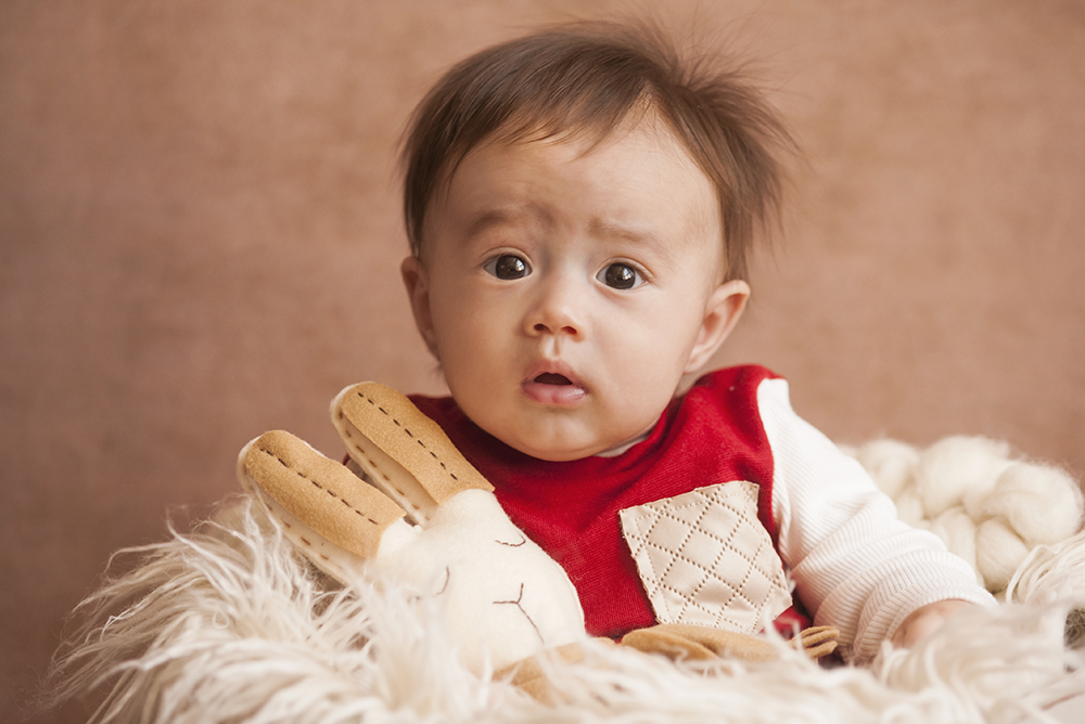 ensaio fotografico menino bebe infantil  book fotografia acompanhamento trimestral cestinha bicho de pelúcia close retrato rio de janeiro niteroi são Gonçalo