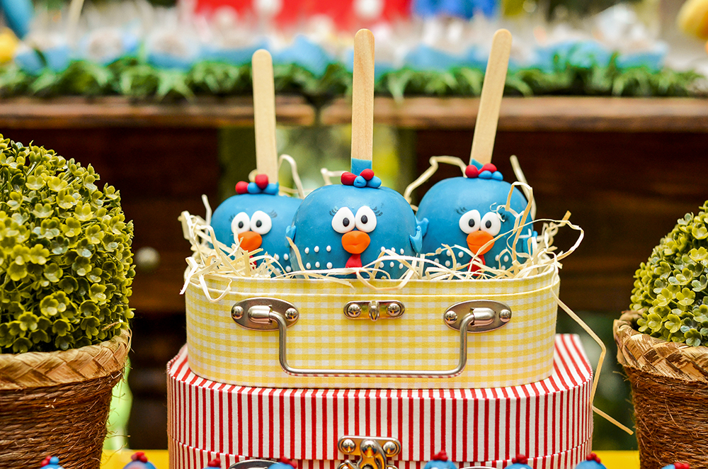 cobertura fotográfica de um ano aniversário infantil tema galinha pintadinha fotografo Niterói rio de janeiro são Gonçalo fotografia de evento criança festa menina maça personalizada