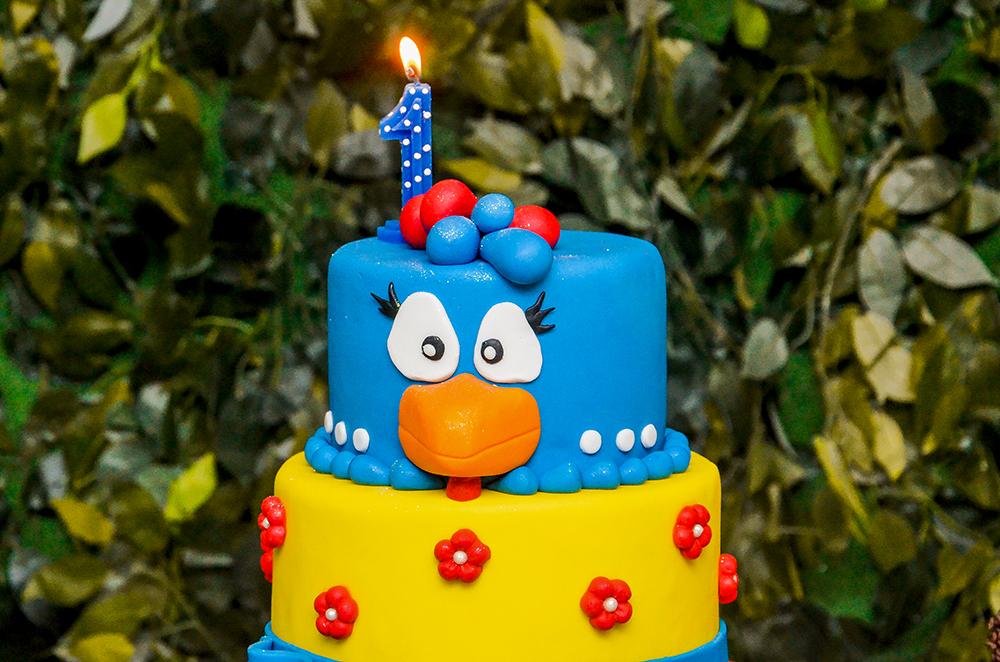 cobertura fotográfica de um ano aniversário infantil tema galinha pintadinha fotografo Niterói rio de janeiro são Gonçalo fotografia de evento criança festa menina vela de um ano