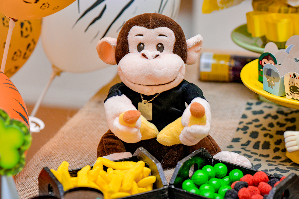 Cobertura fotográfica festa de aniversário tema safári menino criança infantil book fotográfico fotografia animais zoológico bolo docinhos piscina de bolinhas niteroi rio de janeiro são Gonçalo