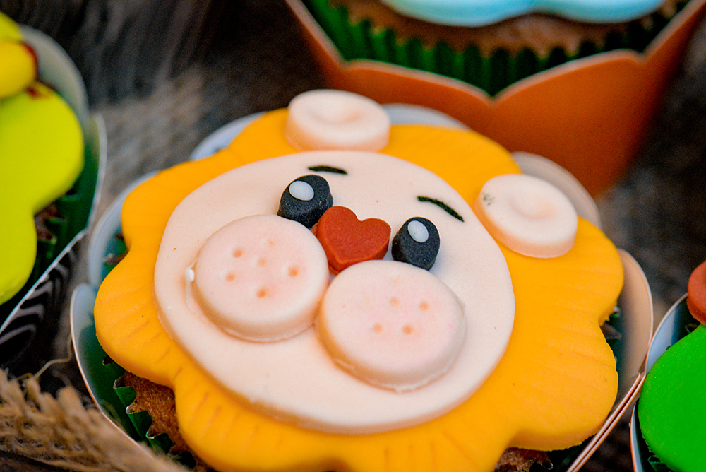 Cobertura fotográfica festa de aniversário tema safári menino criança infantil book fotográfico fotografia animais zoológico bolo docinhos piscina de bolinhas niteroi rio de janeiro são Gonçalo
