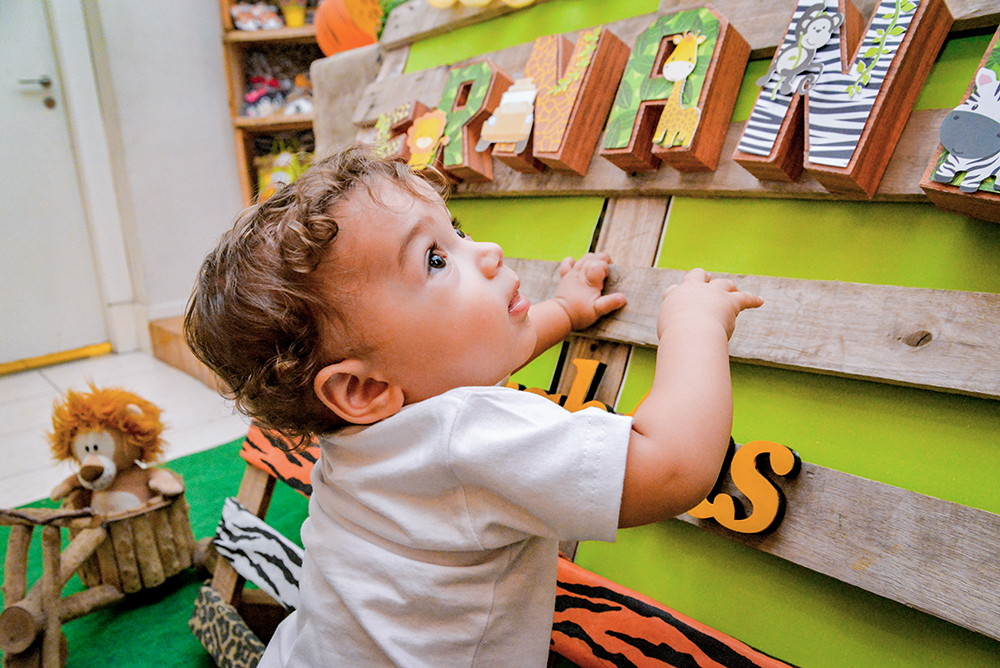 Cobertura fotográfica festa de aniversário tema safári menino criança infantil book fotográfico fotografia animais zoológico bolo docinhos piscina de bolinhas niteroi rio de janeiro são Gonçalo
