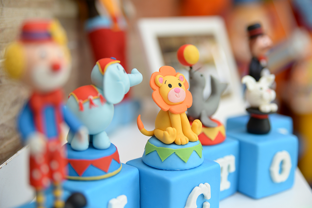 Cobertura fotográfica festa de aniversário tema circo menino criança infantil book fotográfico fotografia palhaços bolo docinhos brincadeiras piscina de bolinhas niteroi rio de janeiro são Gonçalo