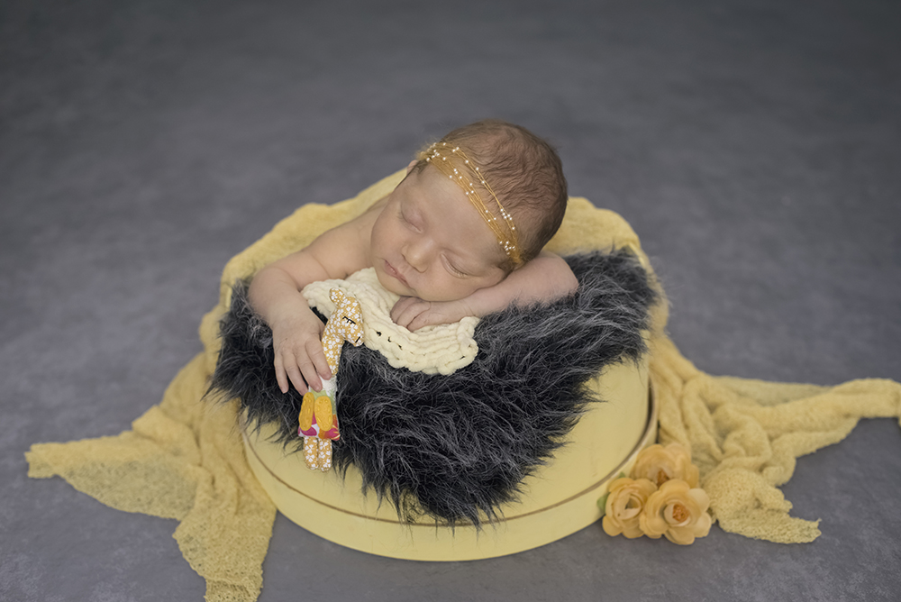 sessão fotográfica ensaio newborn menina recém nascido book fotográfico fotografia niteroi fotografo rio de janeiro amarelo com cinza são Gonçalo pose no baldinho com a girafinha