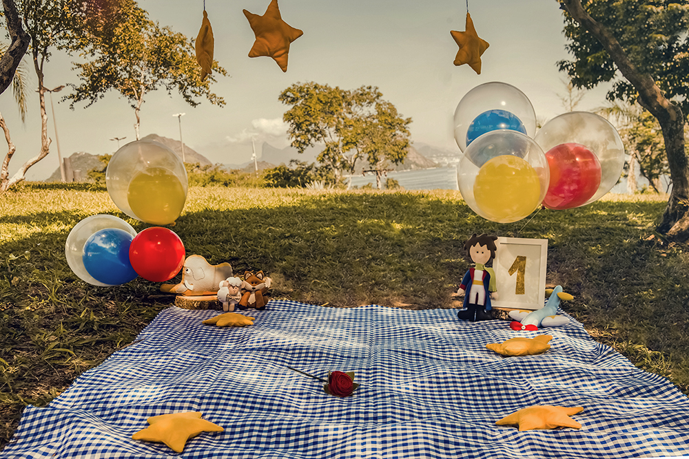 ensaio fotográfico pre aniversario temático pequeno príncipe bebe menino book fotografia picnic fantasia estúdio rio de janeiro niteroi são Gonçalo