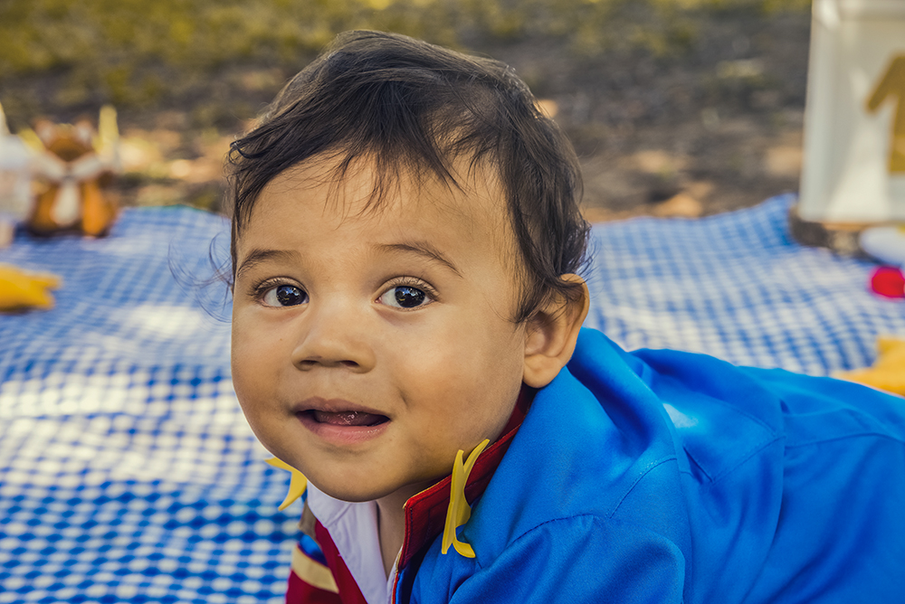 ensaio fotográfico pre aniversario temático pequeno príncipe bebe menino book fotografia picnic fantasia estúdio rio de janeiro niteroi são Gonçalo