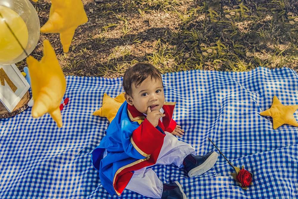 ensaio fotográfico pre aniversario temático pequeno príncipe bebe menino book fotografia picnic fantasia estúdio rio de janeiro niteroi são Gonçalo