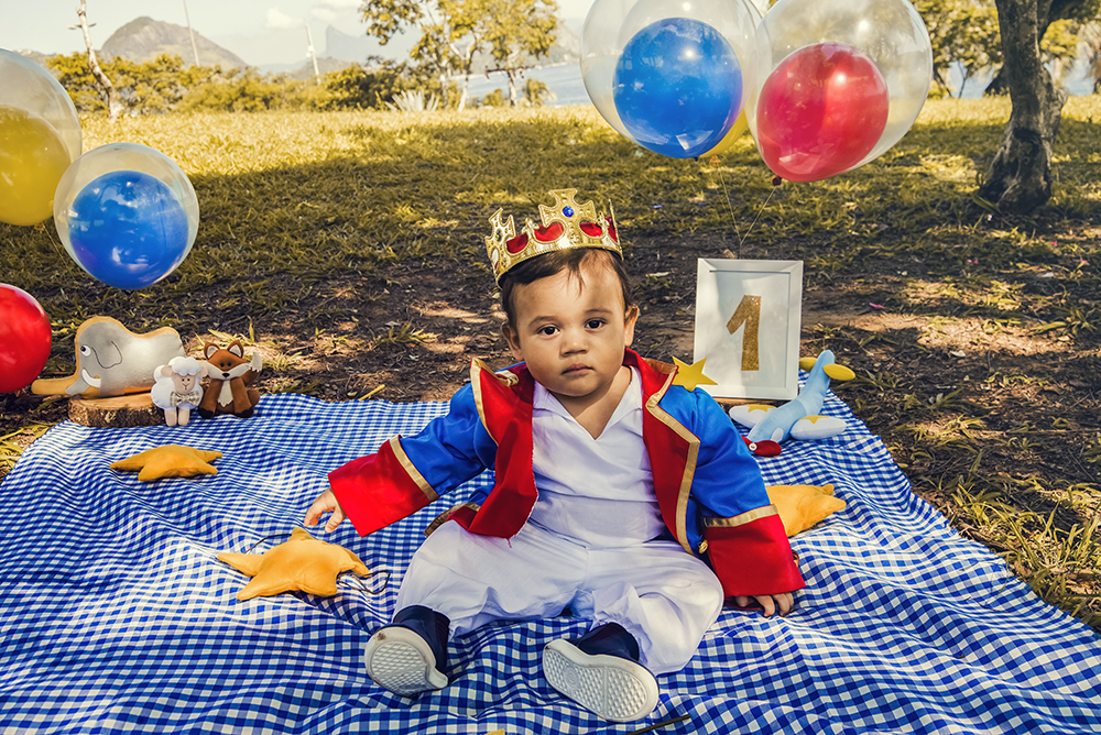ensaio fotográfico pre aniversario temático pequeno príncipe bebe menino book fotografia picnic fantasia estúdio rio de janeiro niteroi são Gonçalo