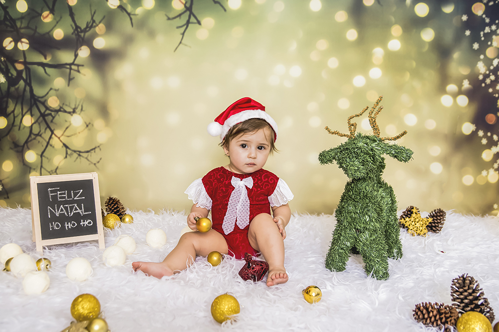 ensaio fotográfico natal bebe infantil miniensaio papai noel loja brinquedo book fotografia closes retrato rio de janeiro niteroi são Gonçalo