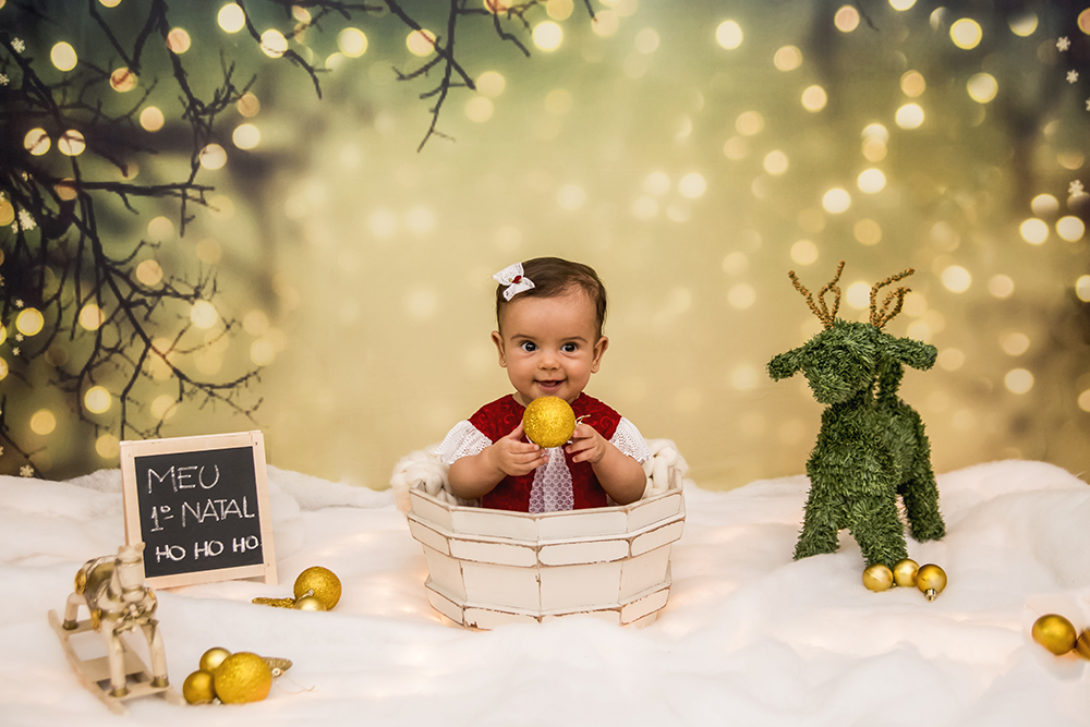 ensaio fotográfico natal bebe infantil miniensaio papai noel loja brinquedo book fotografia closes retrato rio de janeiro niteroi são Gonçalo