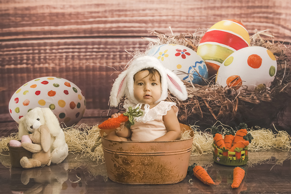 ensaio fotográfico pascoa coelhinho bebe infantil miniensaio book fotografia vintage rustico closes retrato rio de janeiro niteroi são Gonçalo