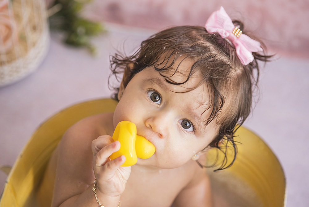ensaio fotografico pre aniversário menina bebe infantil  book fotografia acompanhamento trimestral smash the cake bolo borboleta closes retrato flores rio de janeiro niteroi são Gonçalo