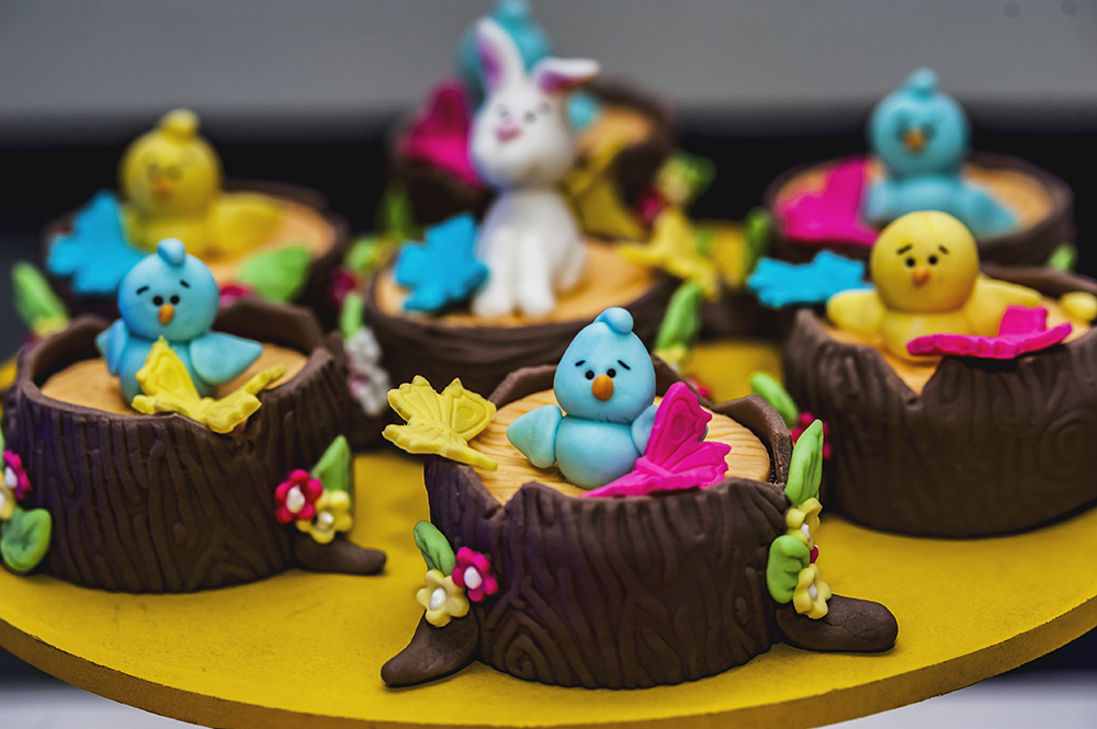Cobertura fotográfica infantil primeiro aniversário menina tema temático jardim encantado fotografia comemoração docinhos bolo casa de festas estação faz de conta niteroi rio de janeiro são Gon&ccedi
