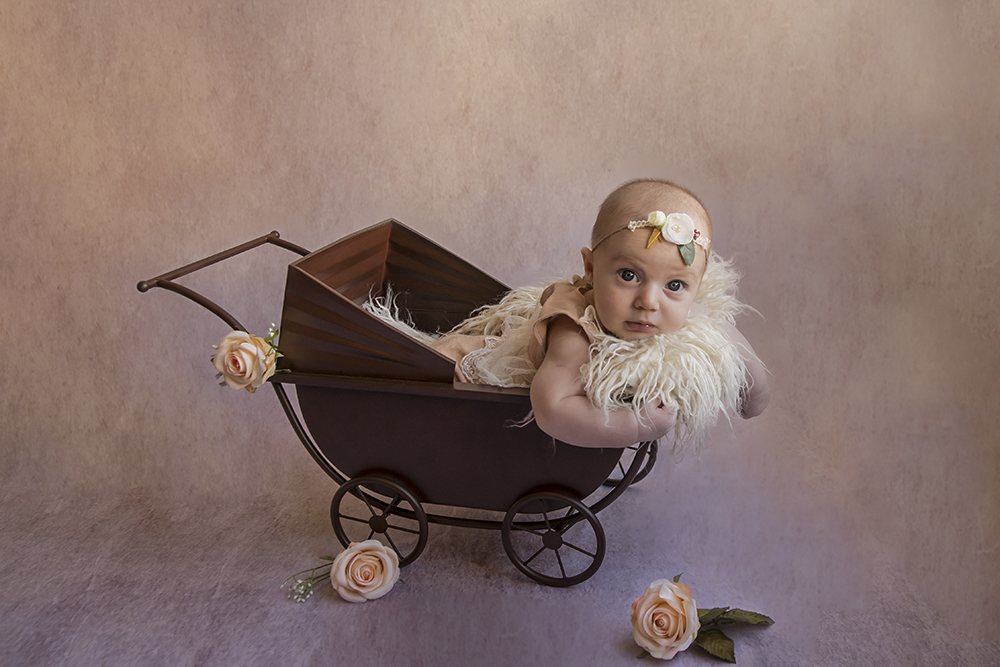 ensaio fotografico menina bebe infantil  book fotografia acompanhamento trimestral interno studio carrinho vintage retrô flores rio de janeiro niteroi são Gonçalo