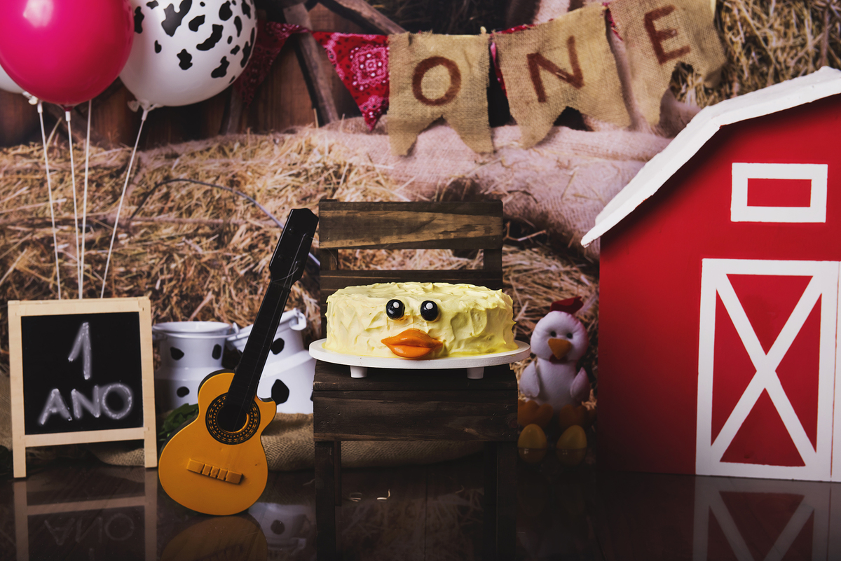 Ensaio smash the cake, ensaio bebê, fotógrafa em Niterói, smash the cake Niterói, smash the cake Rio de Janeiro, smash the cake São Goncalo, smash the cake temático, nossa casa petit, ensaio fotográfico, sessão fotográfica, fazendinha, splash