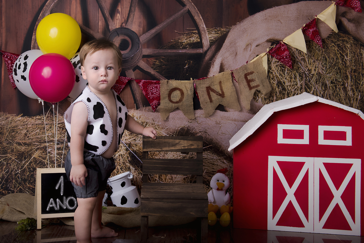 Ensaio smash the cake, ensaio bebê, fotógrafa em Niterói, smash the cake Niterói, smash the cake Rio de Janeiro, smash the cake São Goncalo, smash the cake temático, nossa casa petit, ensaio fotográfico, sessão fotográfica, fazendinha, splash