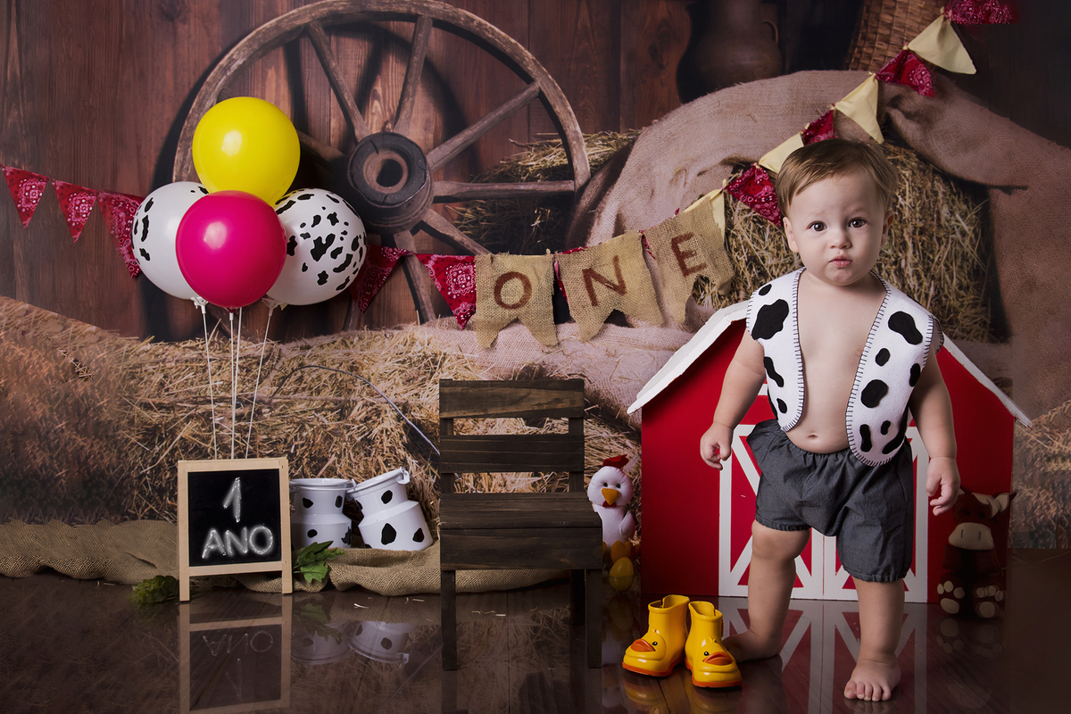 Ensaio smash the cake, ensaio bebê, fotógrafa em Niterói, smash the cake Niterói, smash the cake Rio de Janeiro, smash the cake São Goncalo, smash the cake temático, nossa casa petit, ensaio fotográfico, sessão fotográfica, fazendinha, splash