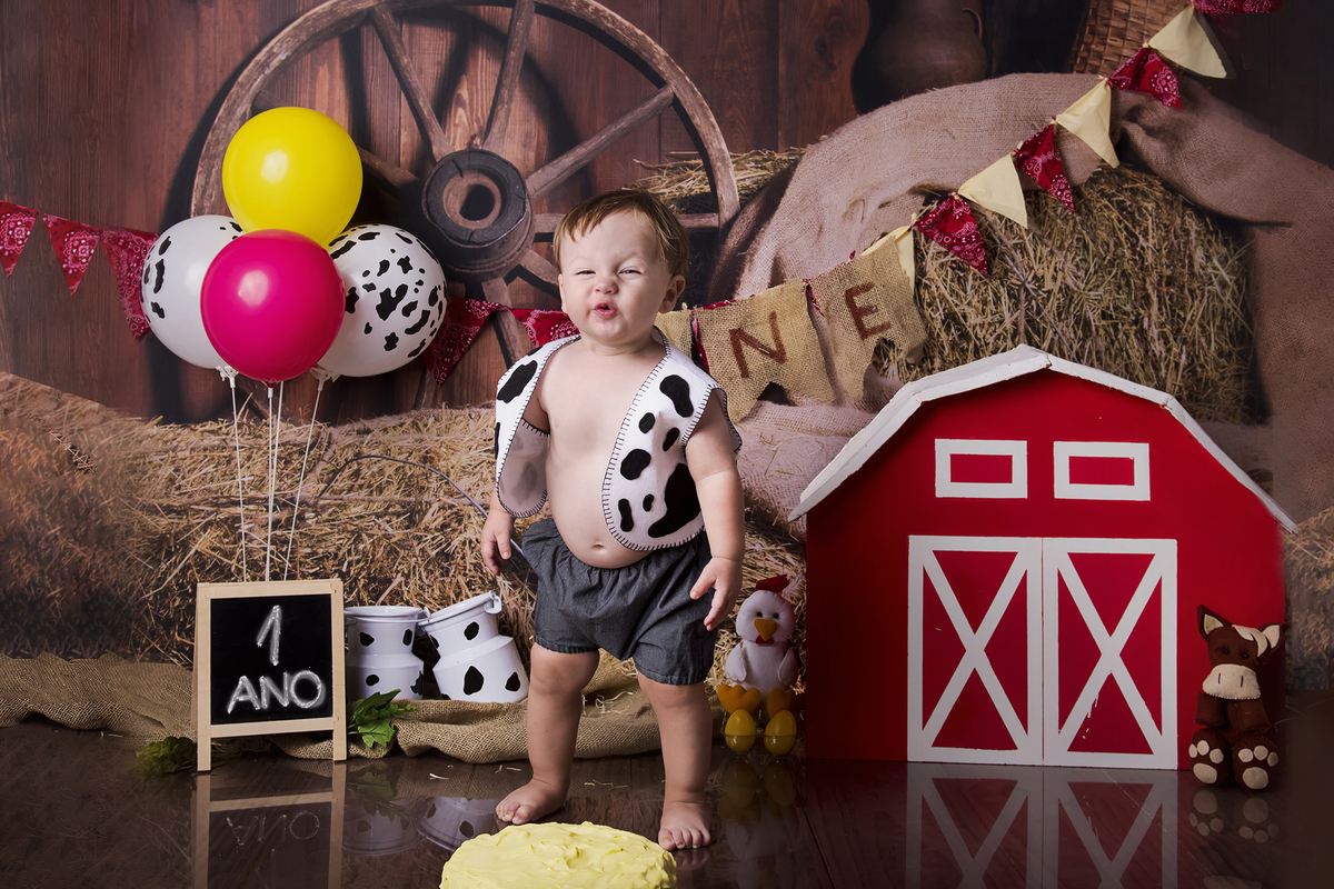 Ensaio smash the cake, ensaio bebê, fotógrafa em Niterói, smash the cake Niterói, smash the cake Rio de Janeiro, smash the cake São Goncalo, smash the cake temático, nossa casa petit, ensaio fotográfico, sessão fotográfica, fazendinha, splash